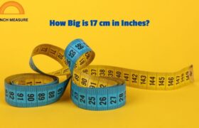 17 cm in Inches