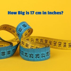 17 cm in Inches