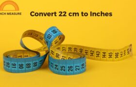 Convert 22 cm to Inches