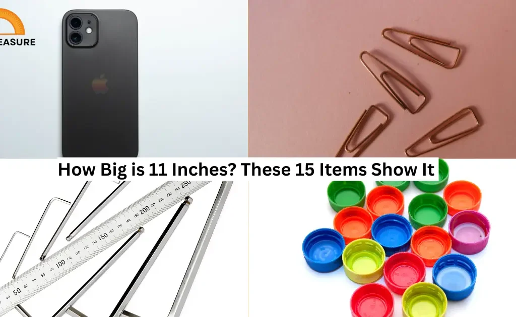 How Big is 11 Inches