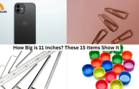 How Big is 11 Inches