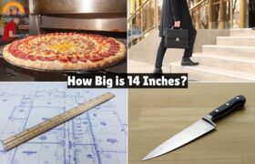 How Big is 14 Inches