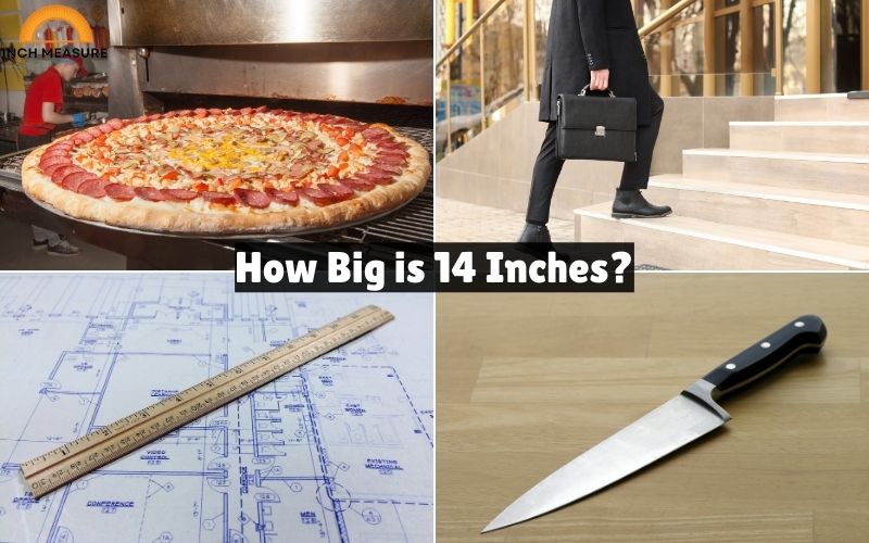 How Big is 14 Inches