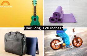 How Long Is 20 Inches?