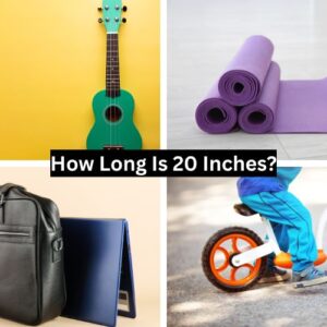 How Long Is 20 Inches?