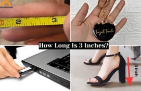 How Long Is 3 Inches?