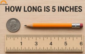 How Long is 5 Inches?