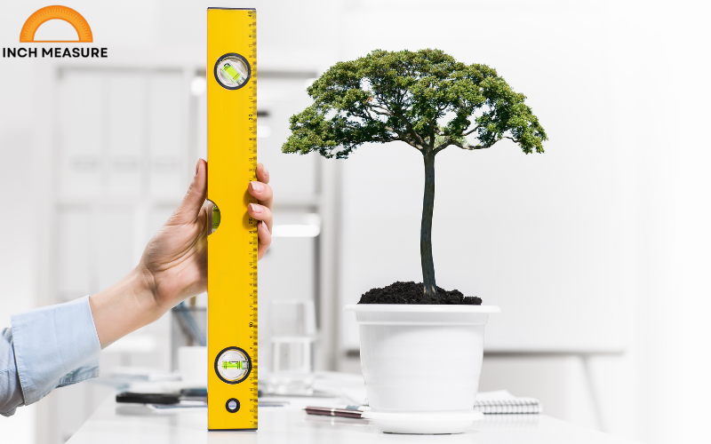 How Tall Is 54 Inches?