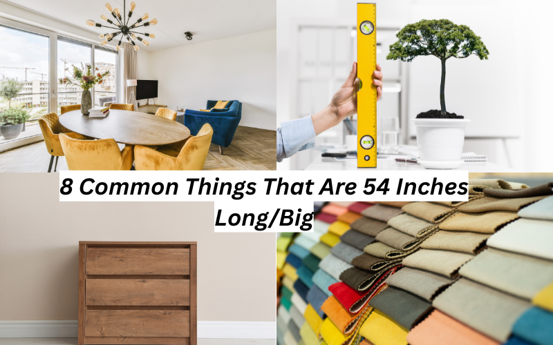 How Tall Is 54 Inches?