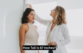 How Tall Is 67 Inches?