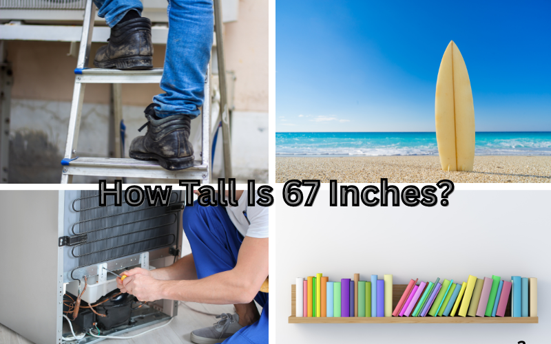 How Tall Is 67 Inches?