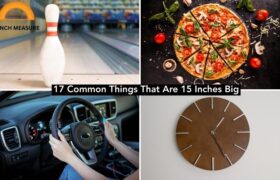 Things That Are 15 Inches Big