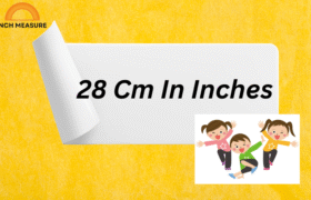 28 Cm In Inches