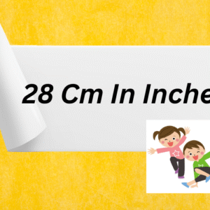 28 Cm In Inches