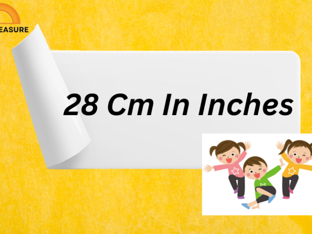 28 Cm In Inches