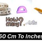 50 Cm To Inches