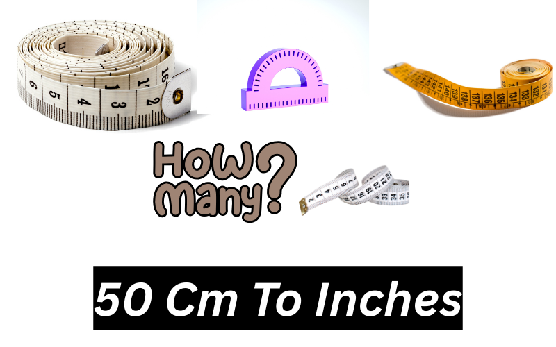 50 Cm To Inches