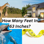 63 Inches In Feet