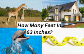 63 Inches In Feet
