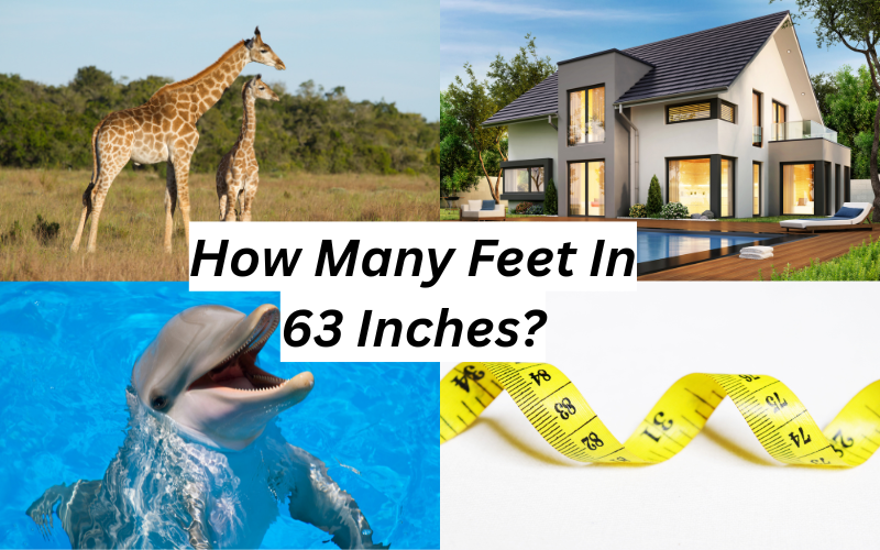 63 Inches In Feet