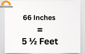 66 Inches To Feet