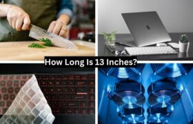 How Long Is 13 Inches?