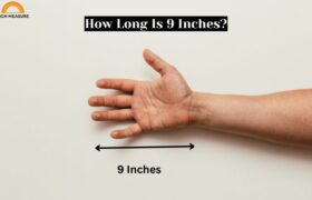 How Long Is 9 Inches?