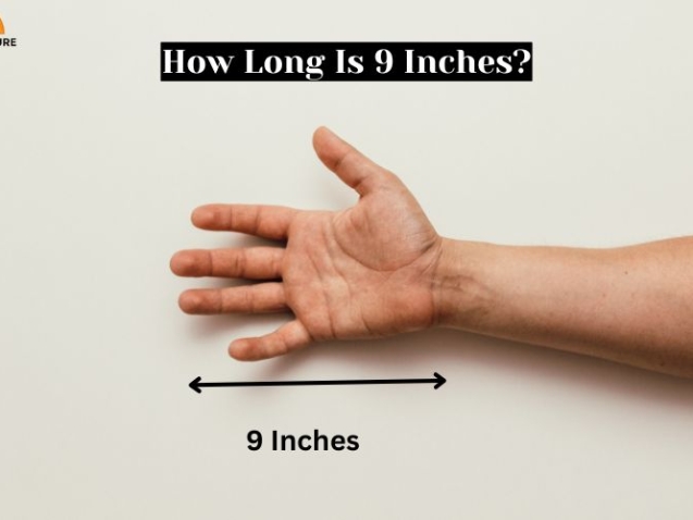 How Long Is 9 Inches?