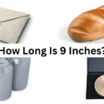 How Long Is 9 Inches?