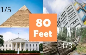 What Does 80 Feet Look Like