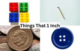 how big is an inch