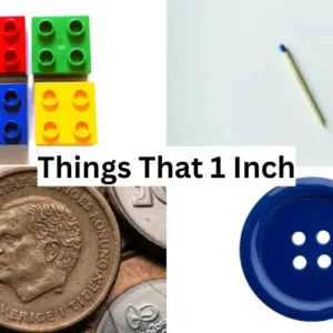 how big is an inch