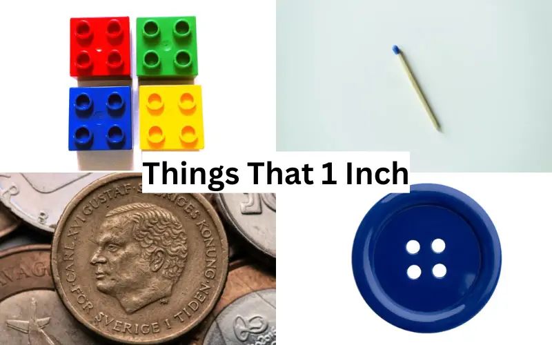 how big is an inch