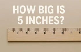 how big is 5 inches